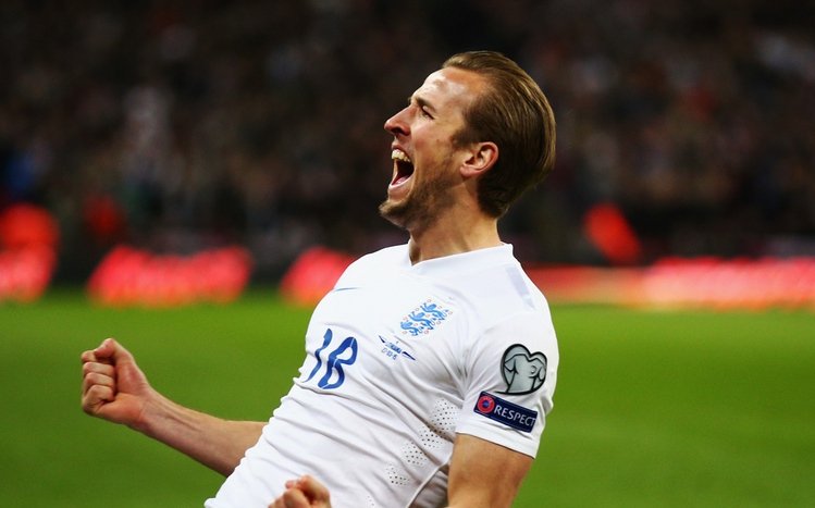 Harry Kane Theme screenshot #1