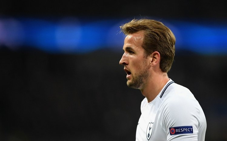 Harry Kane Theme screenshot #7