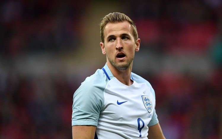 Harry Kane Theme screenshot #8