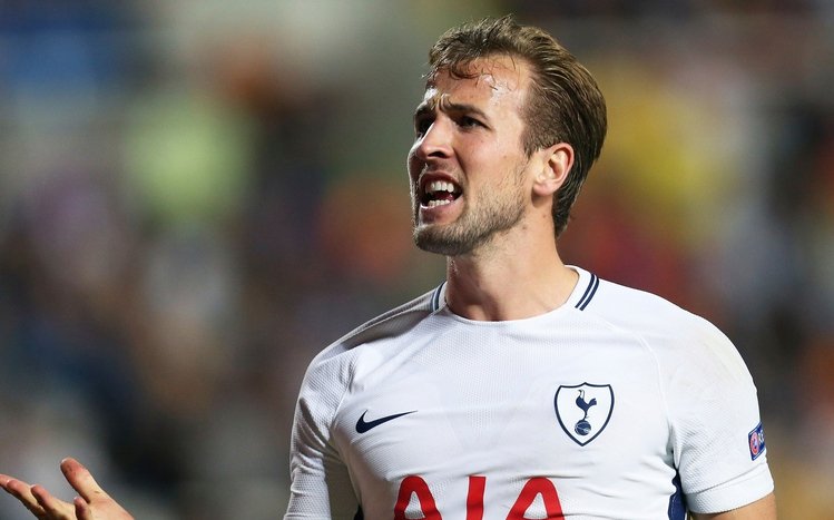 Harry Kane Theme screenshot #5