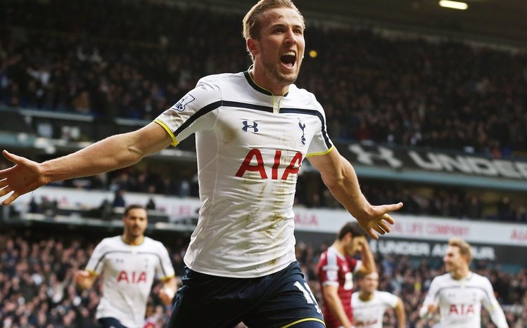 Harry Kane Theme screenshot #3