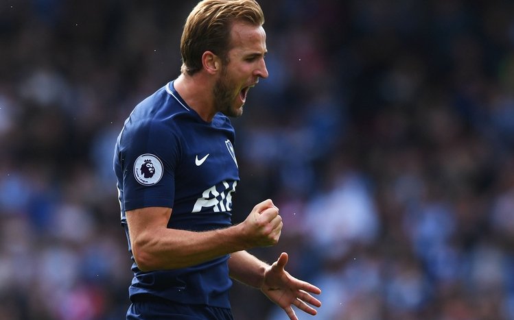 Harry Kane Theme screenshot #2