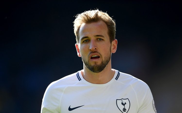 Harry Kane Theme screenshot #6