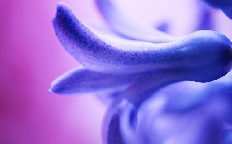 Hyacinth Theme screenshot #7