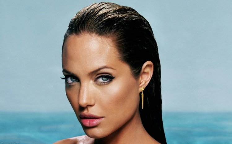 Angelina Jolie Theme screenshot #7