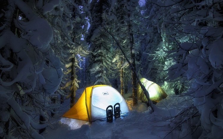 Camping Theme screenshot #6