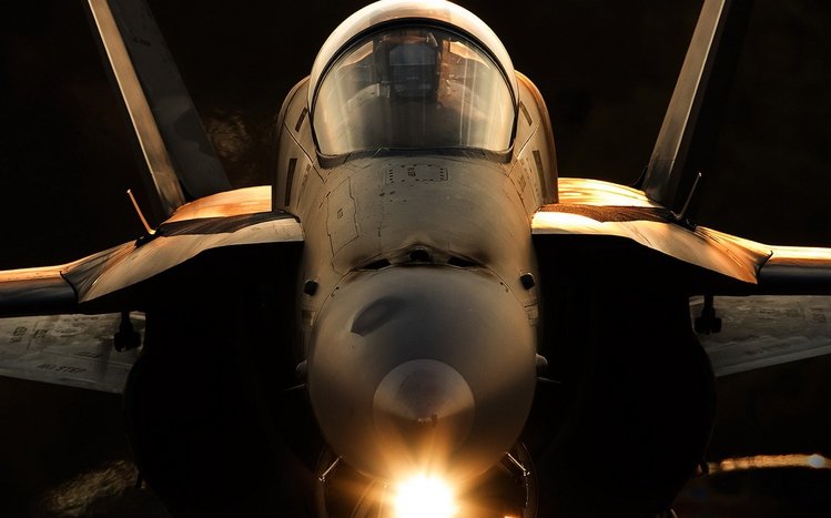 McDonnell Douglas F/A-18 Hornet Theme screenshot #10