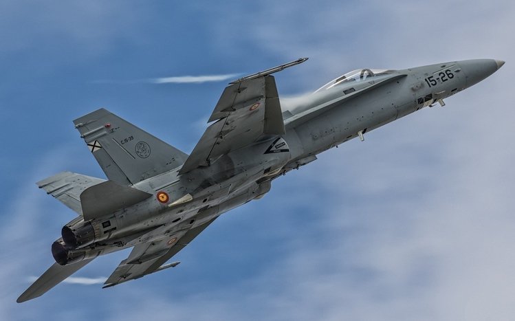 McDonnell Douglas F/A-18 Hornet Theme screenshot #14