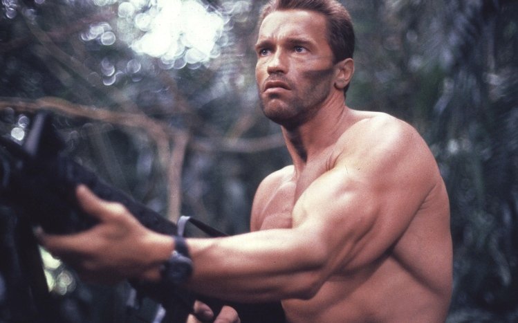Arnold Schwarzenegger Theme screenshot #1
