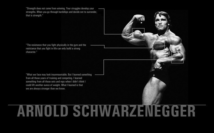 Arnold Schwarzenegger Theme screenshot #11