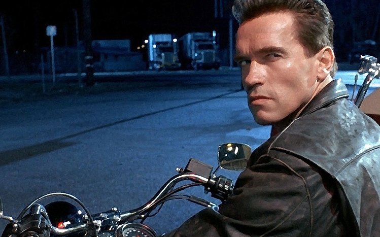Arnold Schwarzenegger Theme screenshot #15