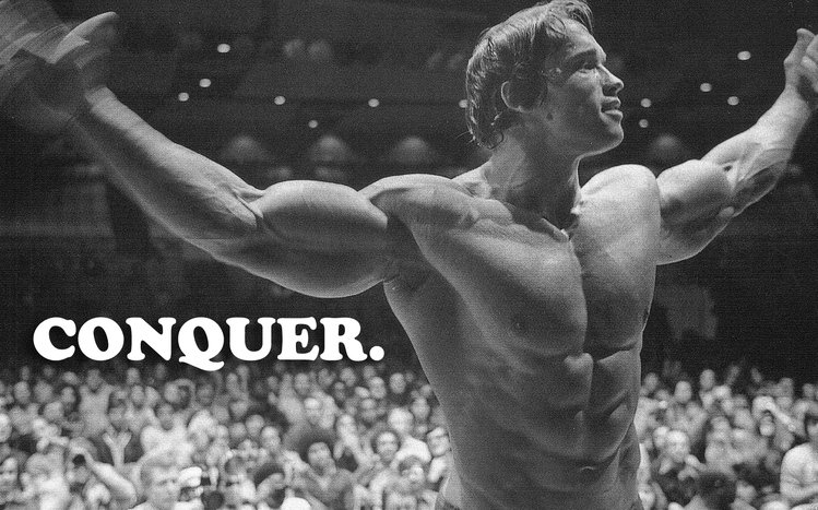 Arnold Schwarzenegger Theme screenshot #17