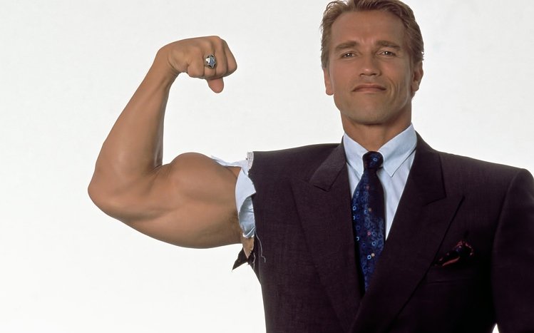 Arnold Schwarzenegger Theme screenshot #20