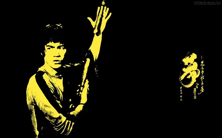 Top 400 Bruce Lee Quotes (2023 Update) - Quotefancy