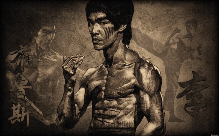 Bruce Lee Theme screenshot #4