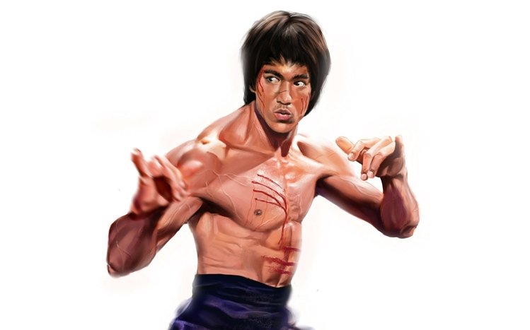 Bruce Lee Theme screenshot #5