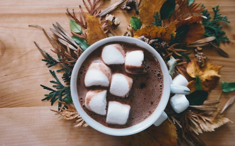 Hot Chocolate Theme screenshot #2