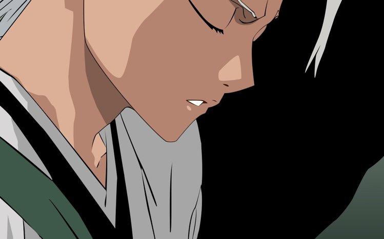 Toshiro Hitsugaya Theme screenshot #3