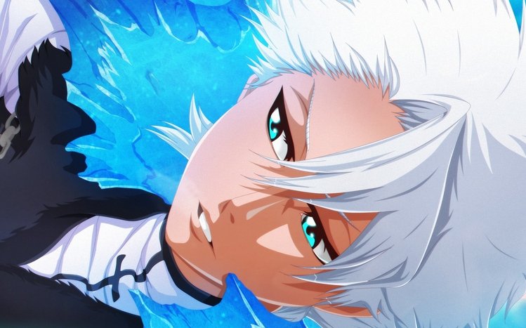 Toshiro Hitsugaya Theme screenshot #14
