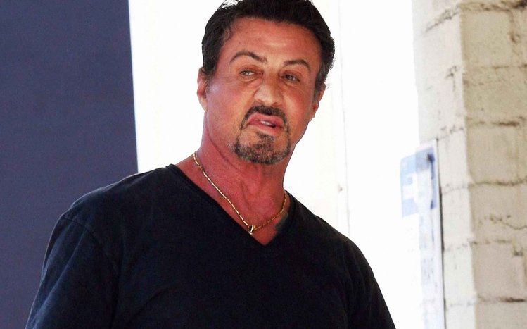 Sylvester Stallone Theme screenshot #6