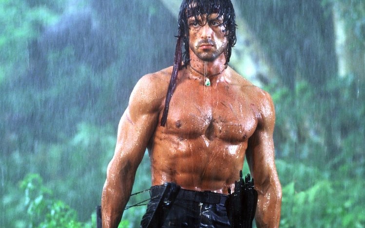 Sylvester Stallone Theme screenshot #8