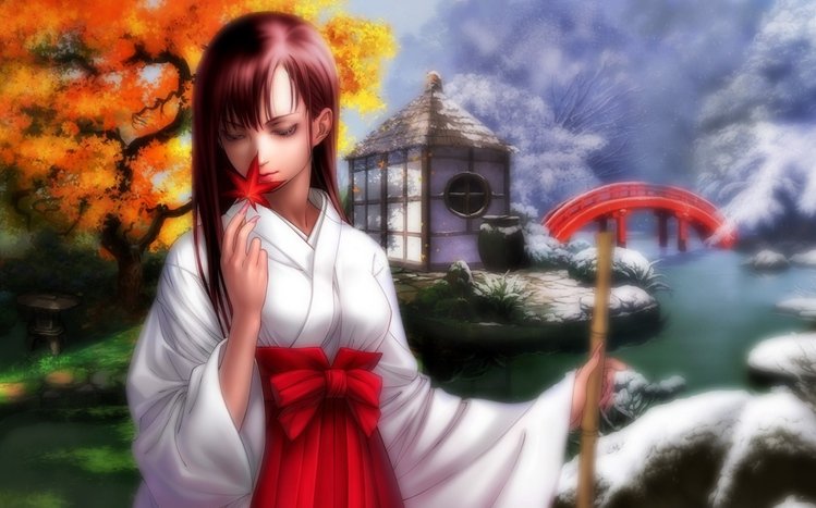 Erza Scarlet Theme screenshot #8