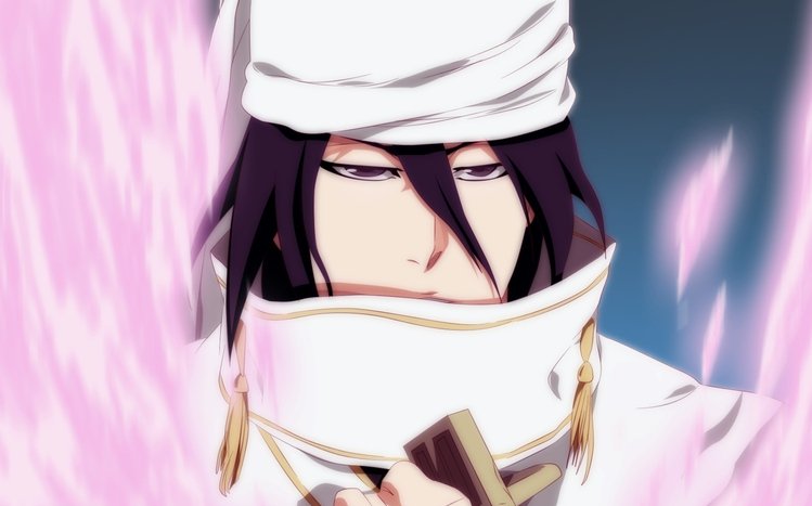 Byakuya Kuchiki Theme screenshot #11