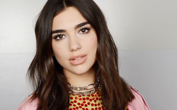 Dua Lipa Theme screenshot #9