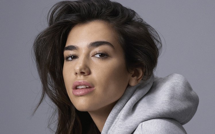 Dua Lipa Theme screenshot #16