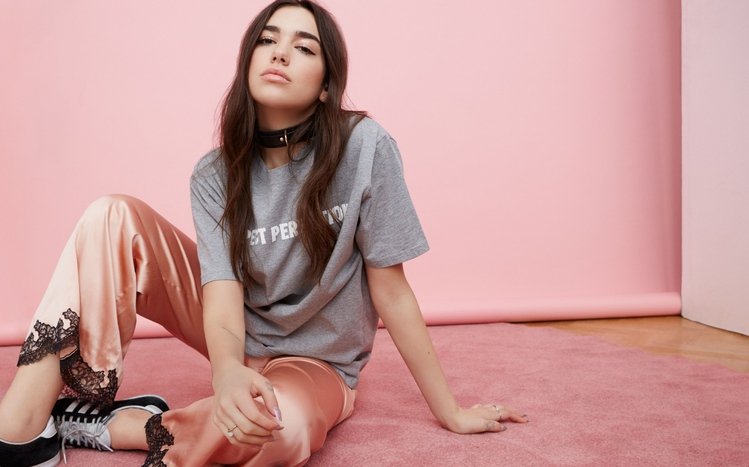 Dua Lipa Theme screenshot #5
