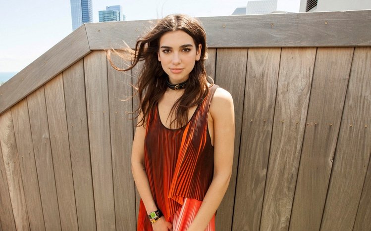 Dua Lipa Theme screenshot #6