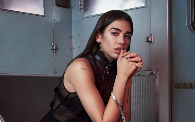 Dua Lipa Theme screenshot #7