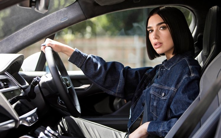 Dua Lipa Theme screenshot #8