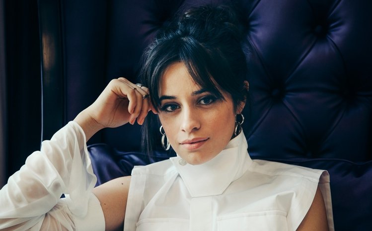 Camila Cabello Theme screenshot #8