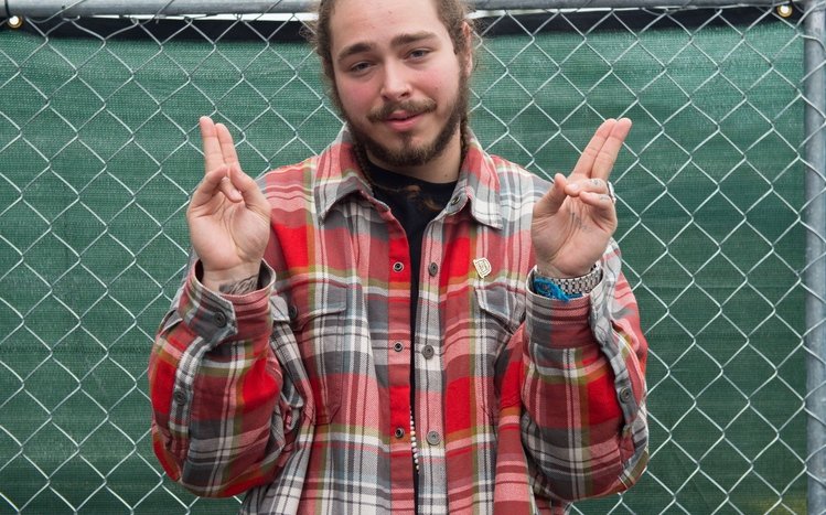 Post Malone Theme screenshot #5