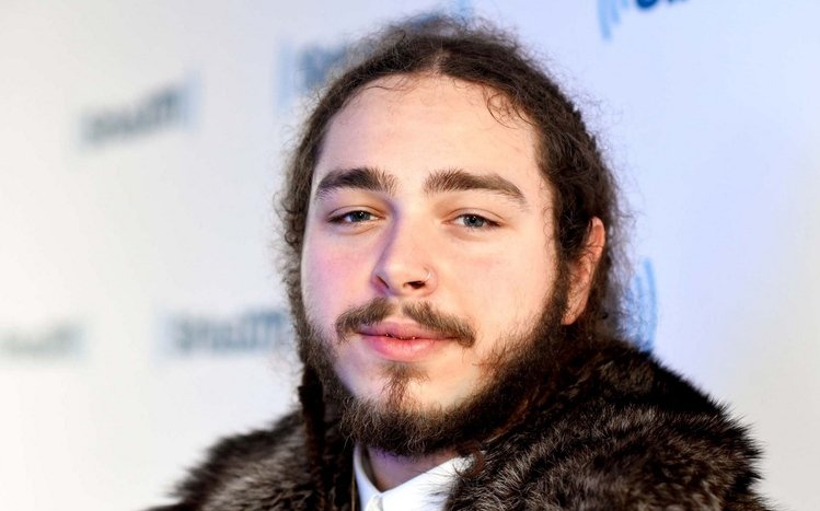 Post Malone Theme screenshot #8