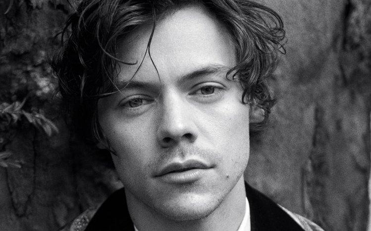 Harry Styles Theme screenshot #13