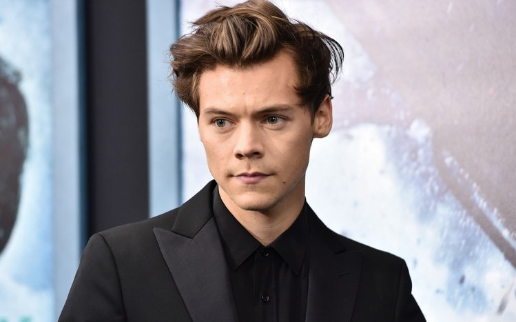 Harry Styles Theme screenshot #10