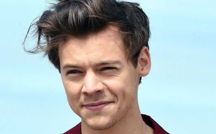 Harry Styles Theme screenshot #11