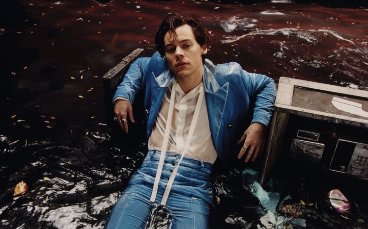 Harry Styles Theme screenshot #1