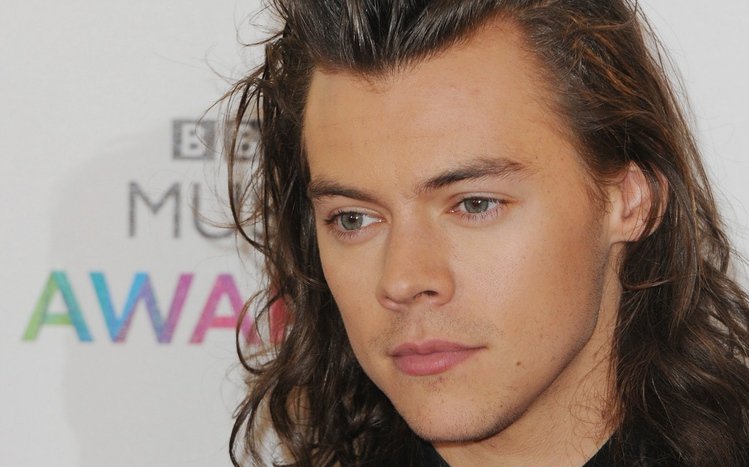 Harry Styles Theme screenshot #5