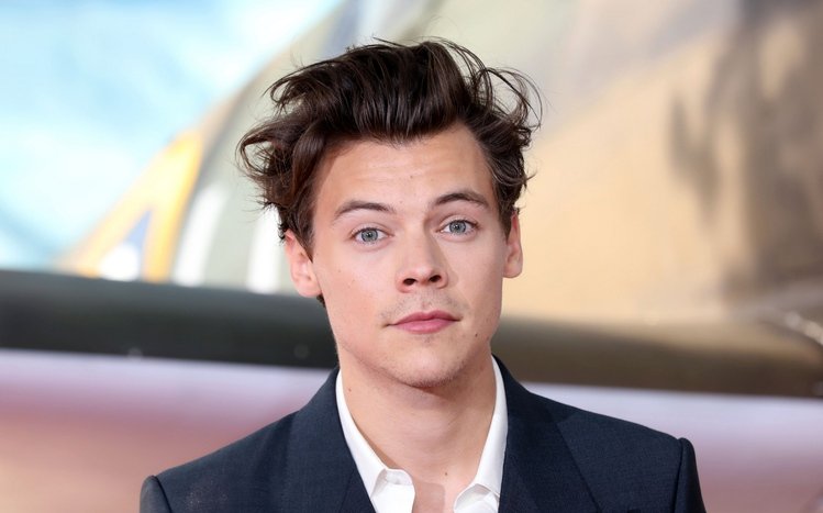 Harry Styles Theme screenshot #4