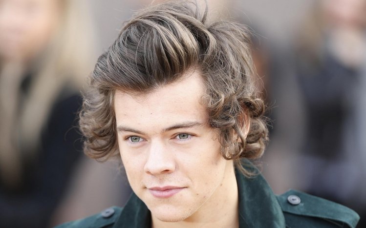 Harry Styles Theme screenshot #12