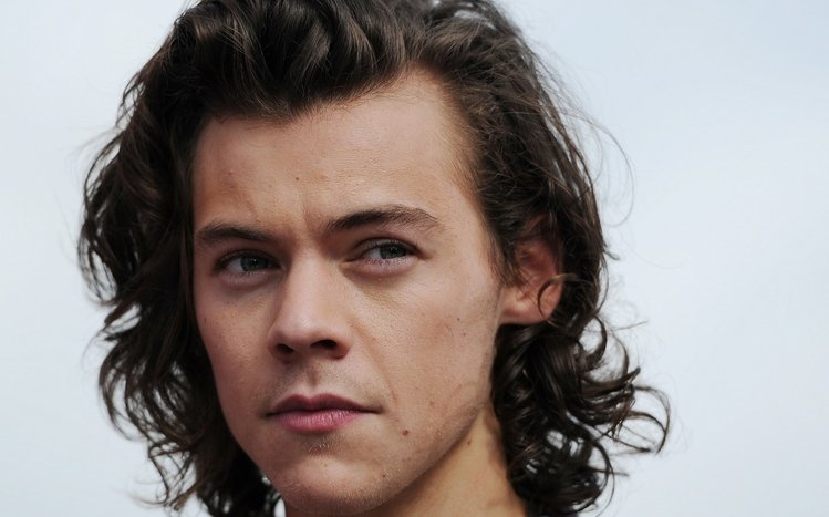 Harry Styles Theme screenshot #9