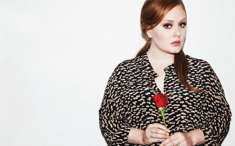 Adele Theme screenshot #13