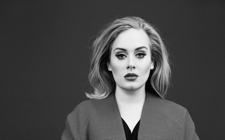 Adele Theme screenshot #7