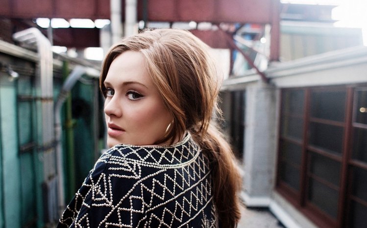 Adele Theme screenshot #2