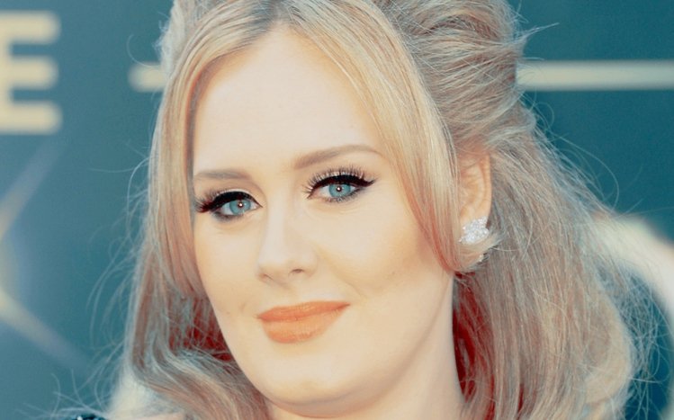 Adele Theme screenshot #9