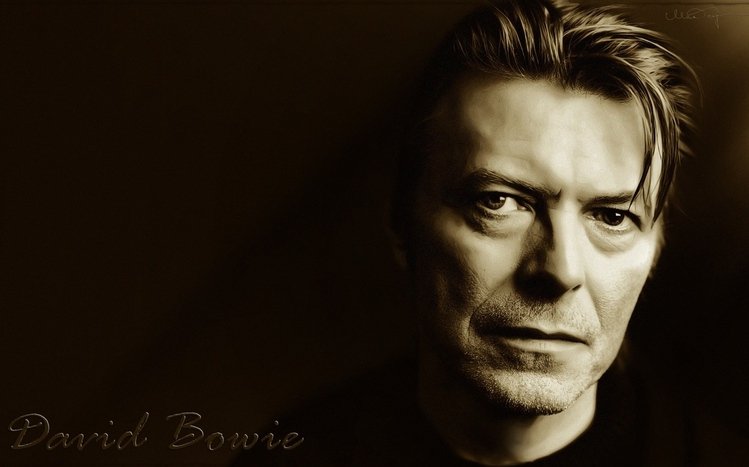 David Bowie Theme screenshot #6