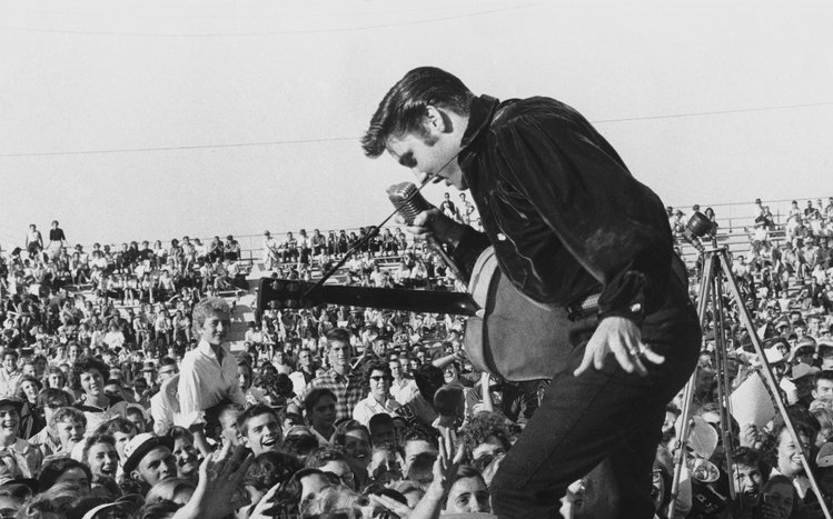 Elvis Presley Theme screenshot #1